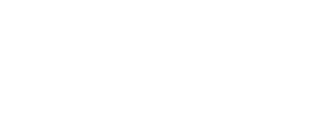 Designer Fires